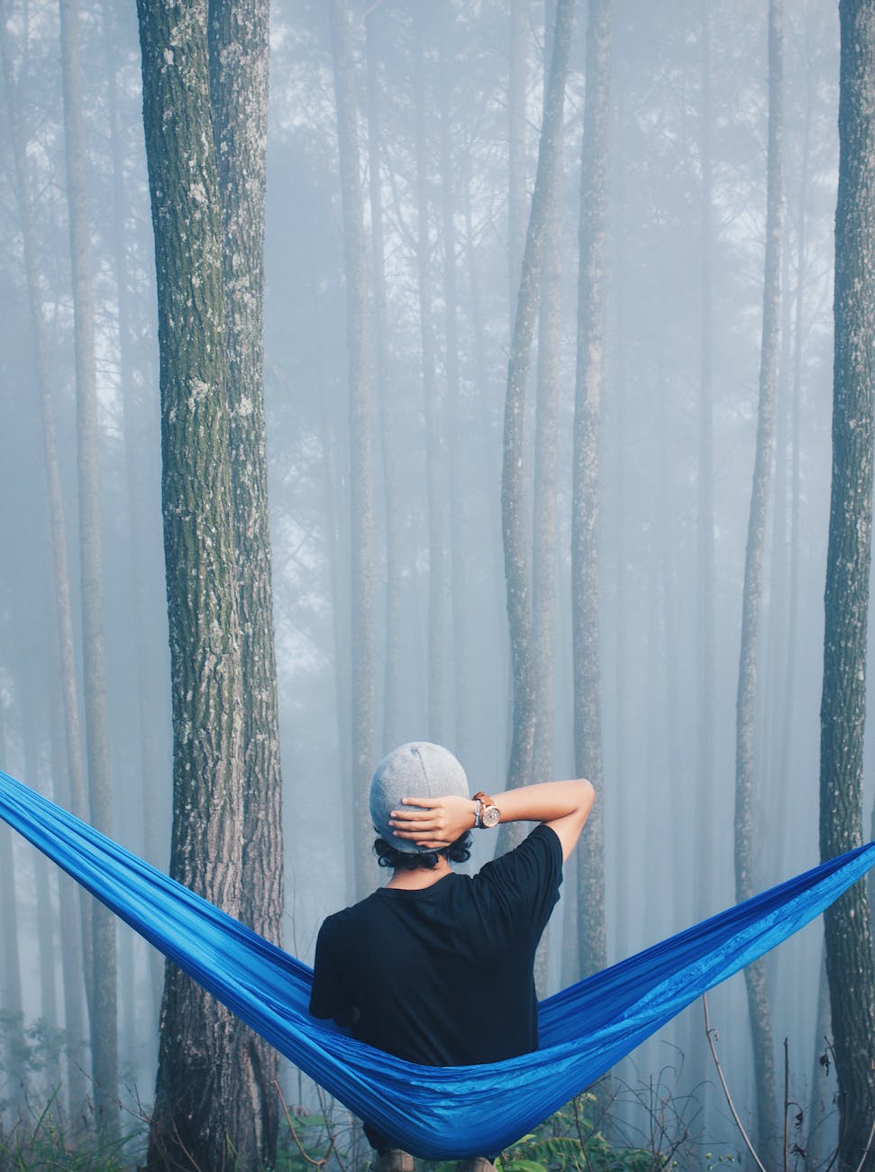 person sitting on blue hammock surrounded with tall trees