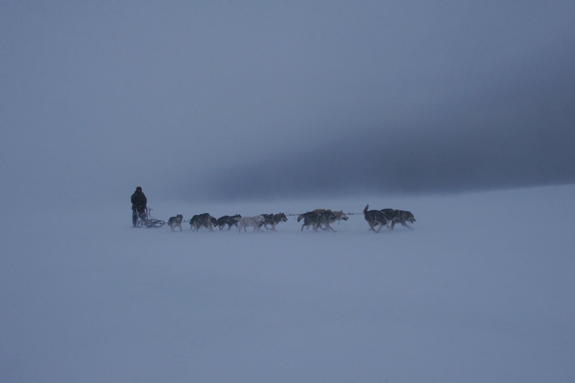 a person riding a sled pulled by sled dogs on snow covered ground