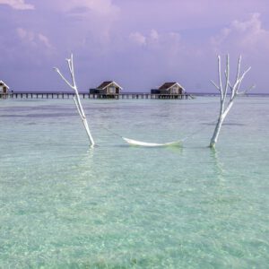 Tropical Island hammock scenery