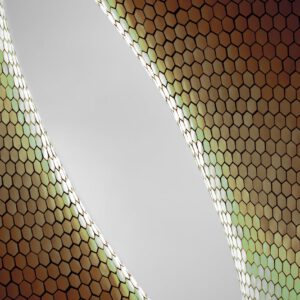 abstract hexagonal pattern with gradient details