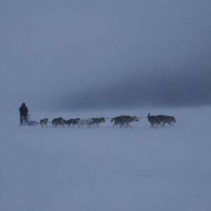 a person riding a sled pulled by sled dogs on snow covered ground