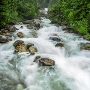 river in the middle of forest