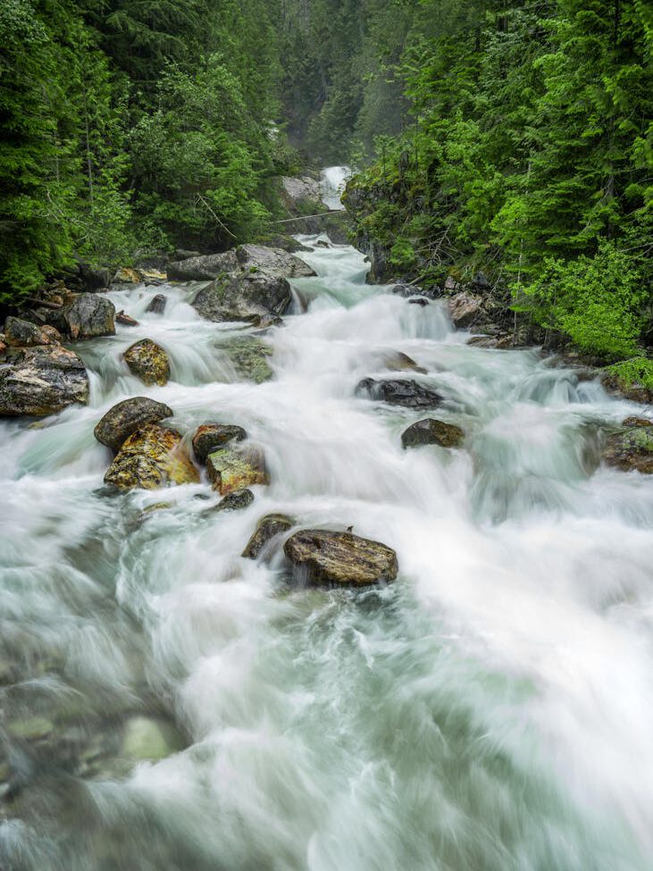 river in the middle of forest